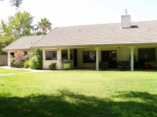 rear yard