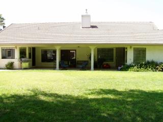 Large rear yard and patio