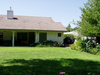 rear yard 2